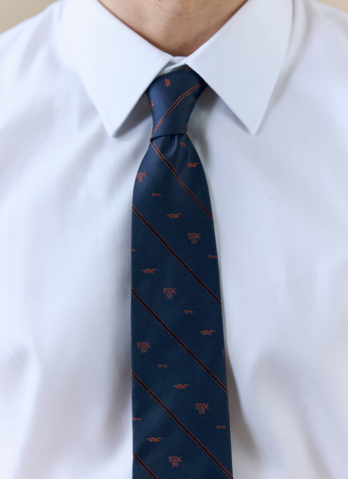 Men's Silk Tie - Jacquard Stripe - Percival x Brighton & Hove Albion F.C. - Navy